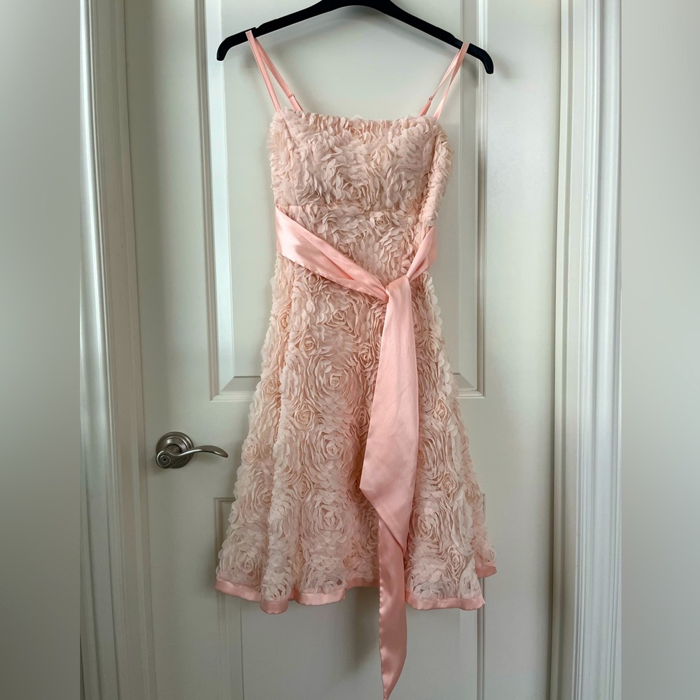 💕 One of a Kind 💕 Boutique Baby Pink Appliqué Mini Flare Dress